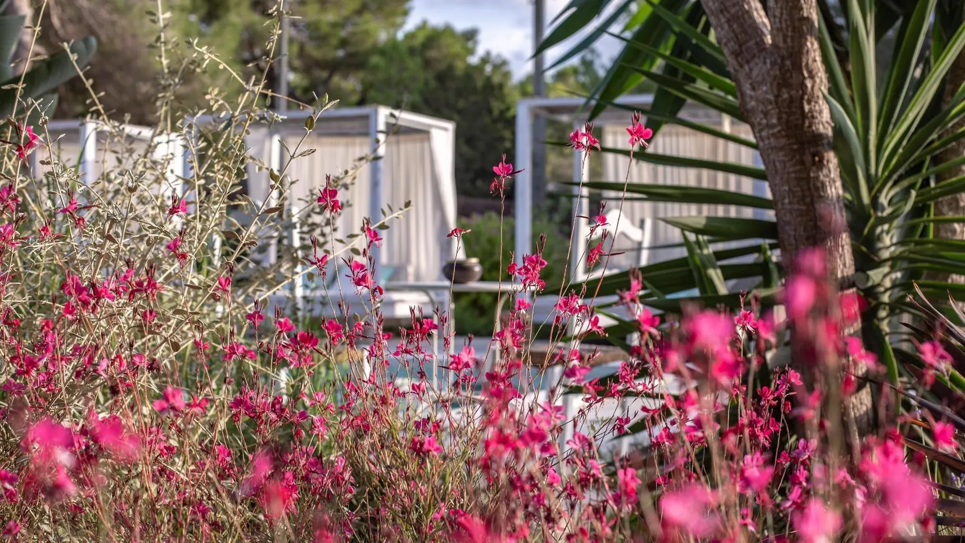 Boutique Hotel Casa Caracol - Apartments In Strandnaehe, Salzwasserpool, Fotovoltaik, Adults Only San José Ισπανία