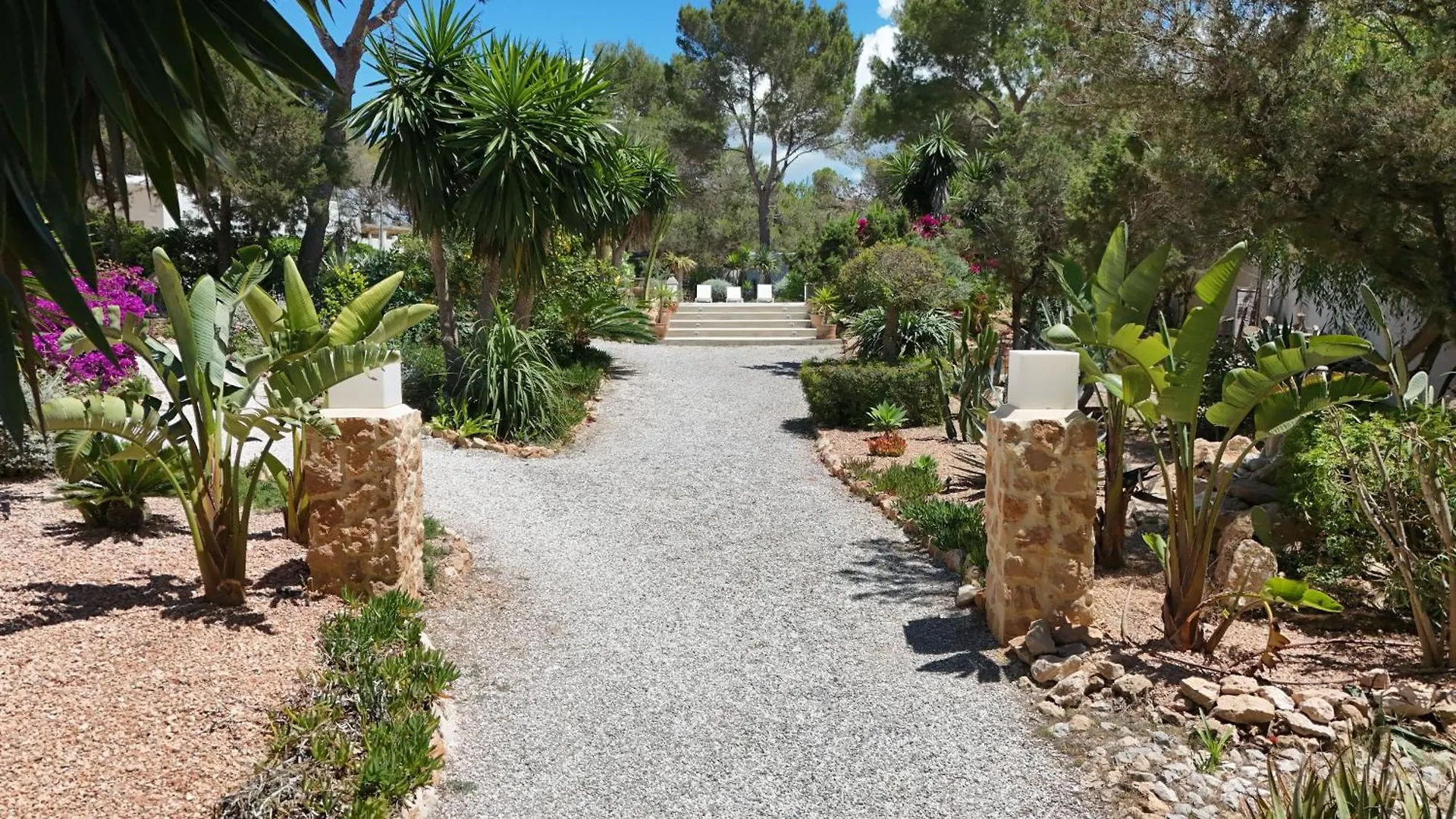 Boutique Hotel Casa Caracol - Apartments In Strandnaehe, Salzwasserpool, Fotovoltaik, Adults Only San José